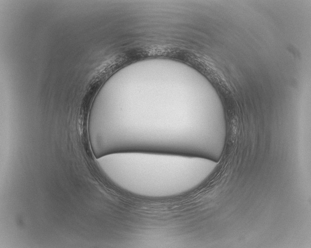 X0000116860691200912220942