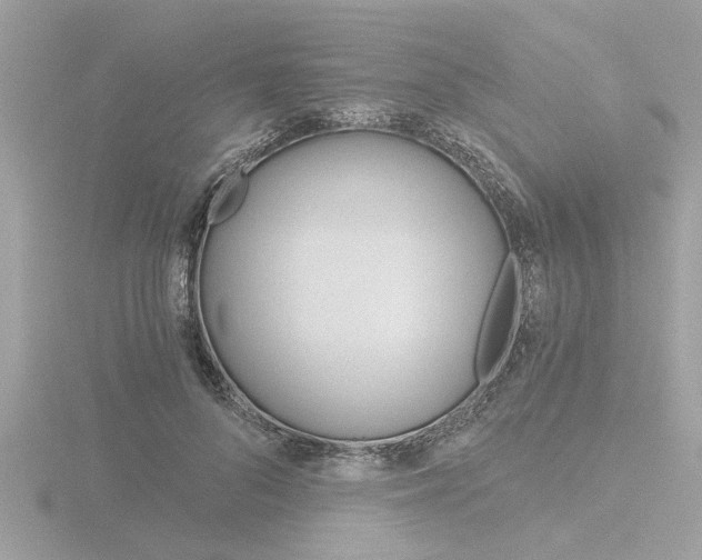 X0000116860696200912220942