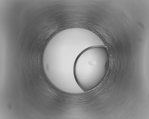 X0000116860704200912220942