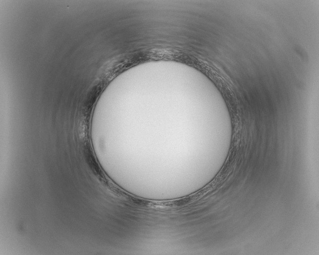 X0000116860706200912220942