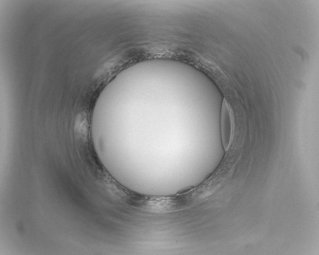 X0000116860720200912220942