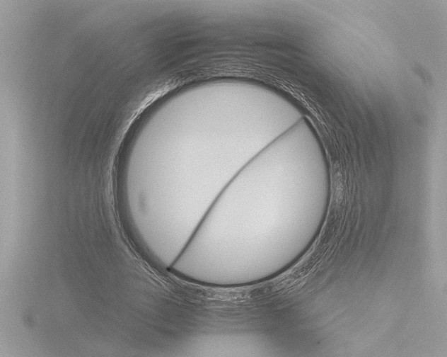 X0000116860727200912220942
