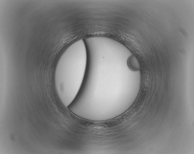 X0000116860743200912220942