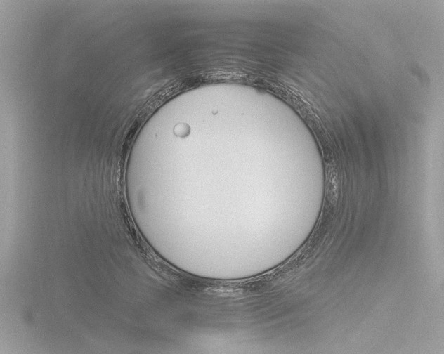 X0000116860745200912220942