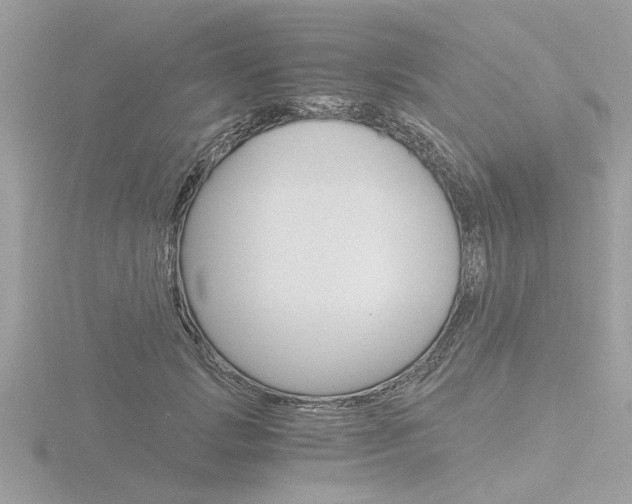 X0000116860749200912220942