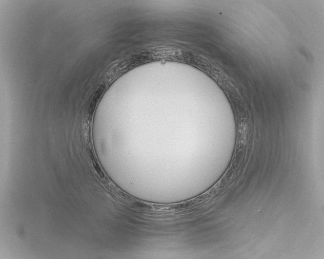 X0000116860753200912220942
