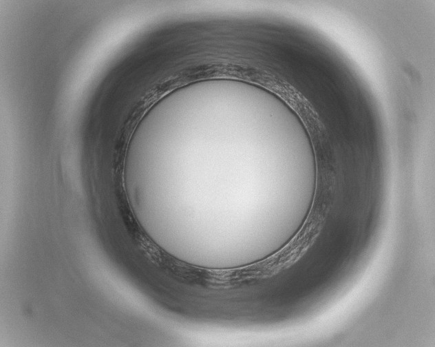X0000116860766200912220942