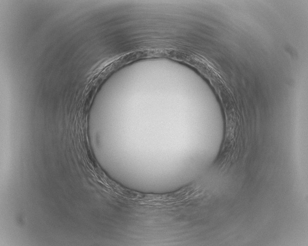 X0000116860773200912220941