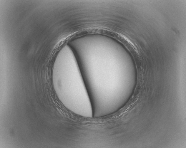 X0000116860775200912220941