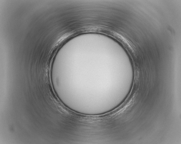 X0000116860778200912220941
