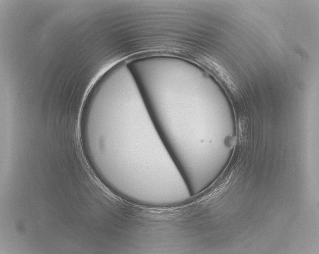 X0000116860780200912220941