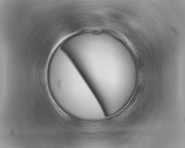 X0000116860795200912220941