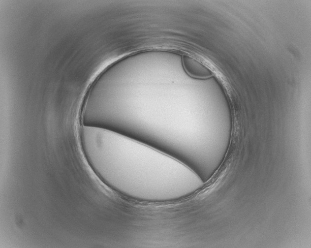 X0000116860803200912220941