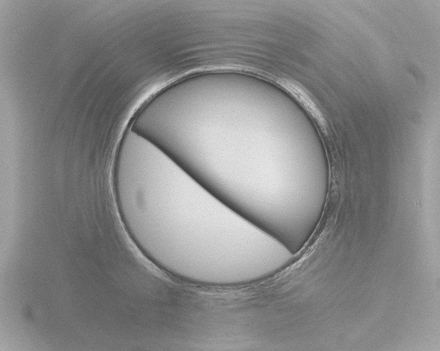 X0000116860805200912220941