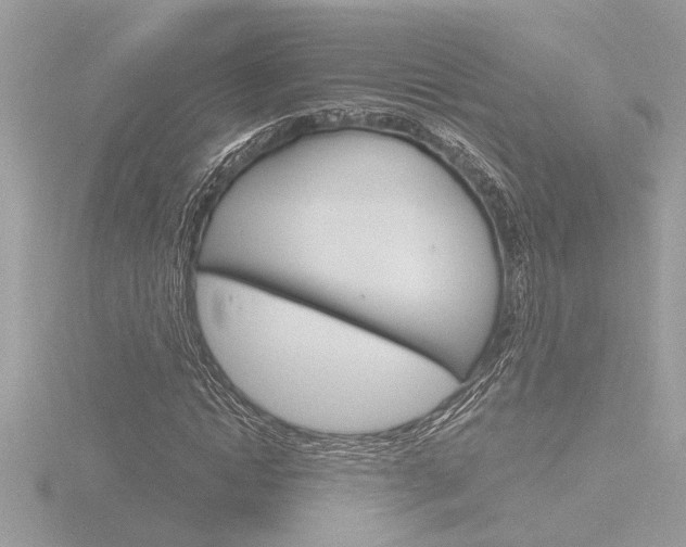 X0000116860822200912220940