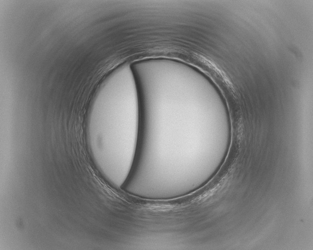 X0000116860825200912220940