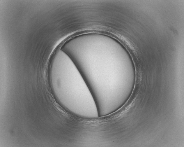 X0000116860830200912220940