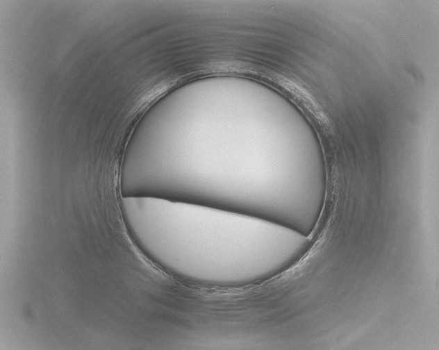 X0000116860841200912220941