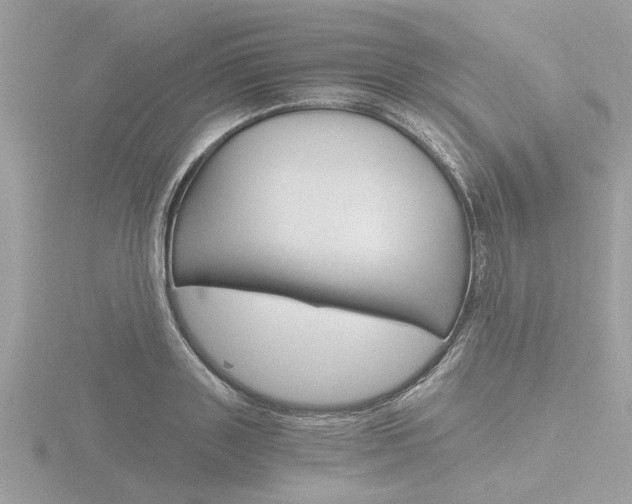 X0000116860843200912220941