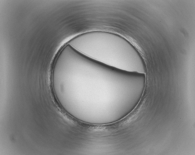 X0000116860846200912220941