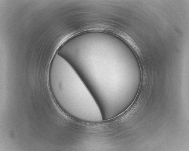 X0000116860850200912220941