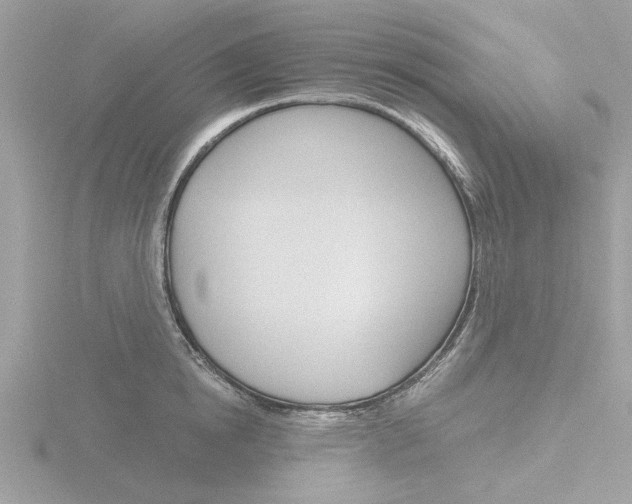 X0000116860854200912220941