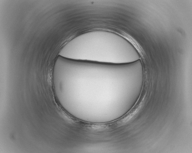 X0000116860857200912220941