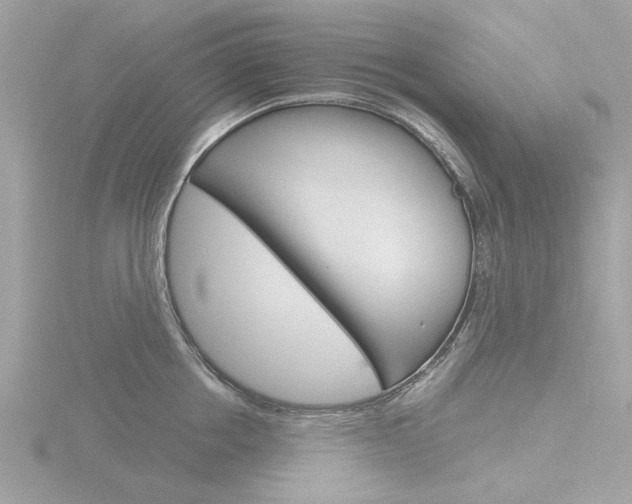 X0000116860858200912220941