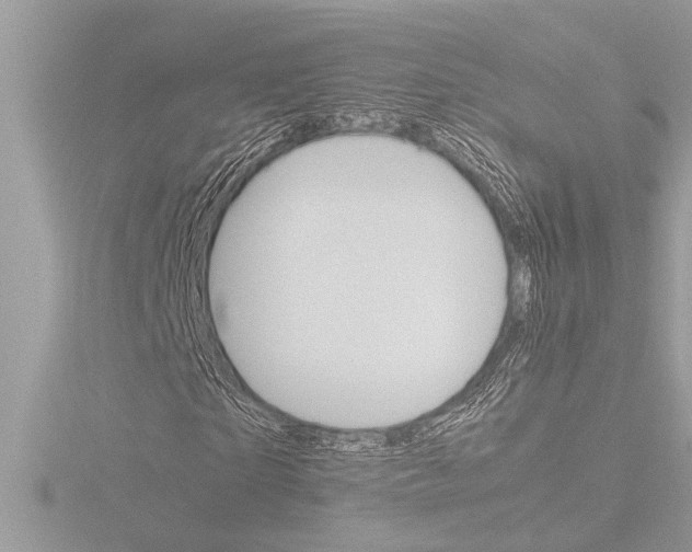 X0000116860865200912220940
