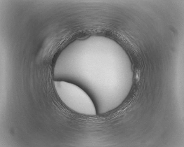 X0000116860867200912220940