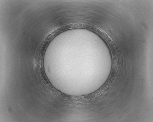 X0000116860870200912220940