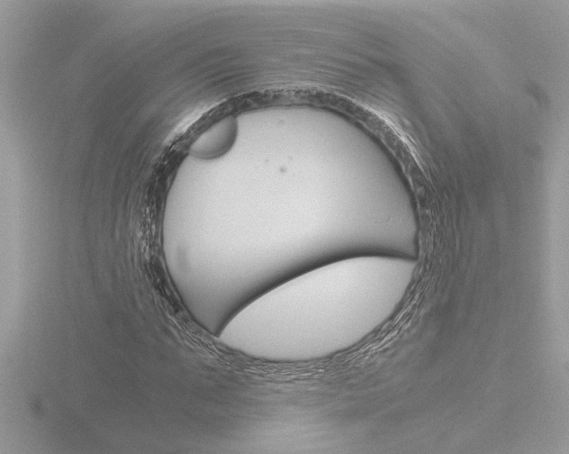 X0000116860871200912220940