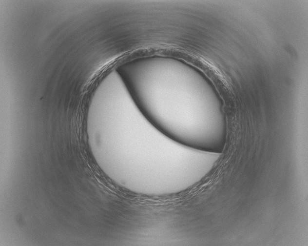 X0000116860872200912220940