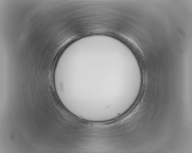 X0000116860873200912220940
