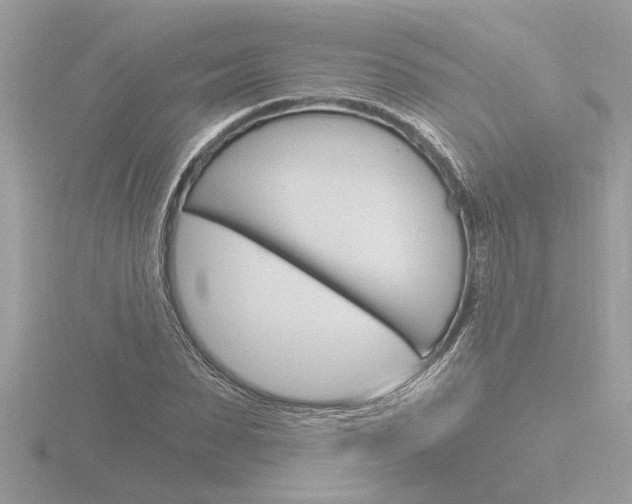 X0000116860879200912220940