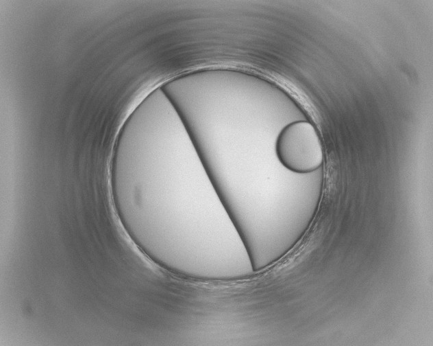 X0000116860906200912220940