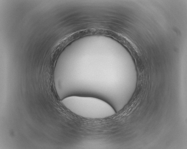 X0000116860919200912220939