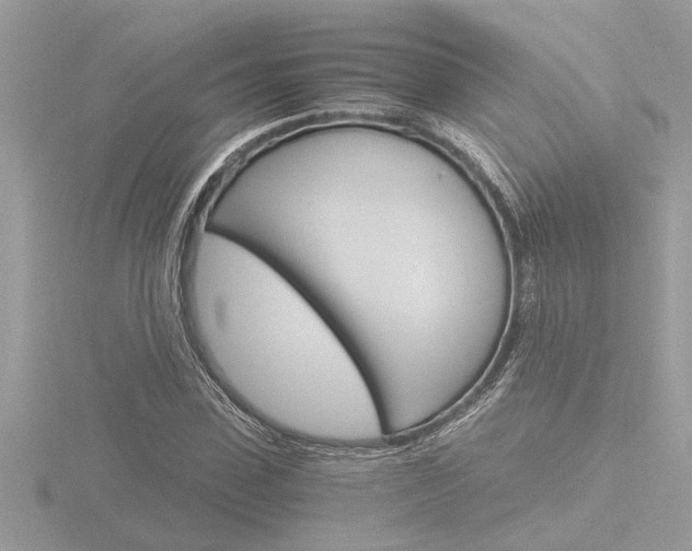 X0000116860923200912220939