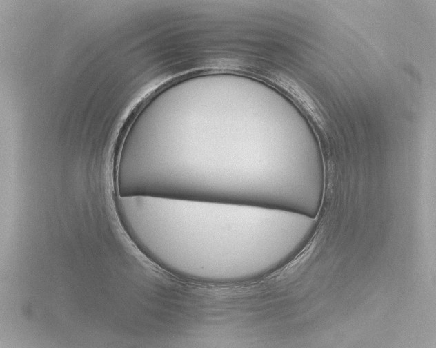 X0000116860939200912220939