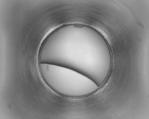 X0000116860949200912220940