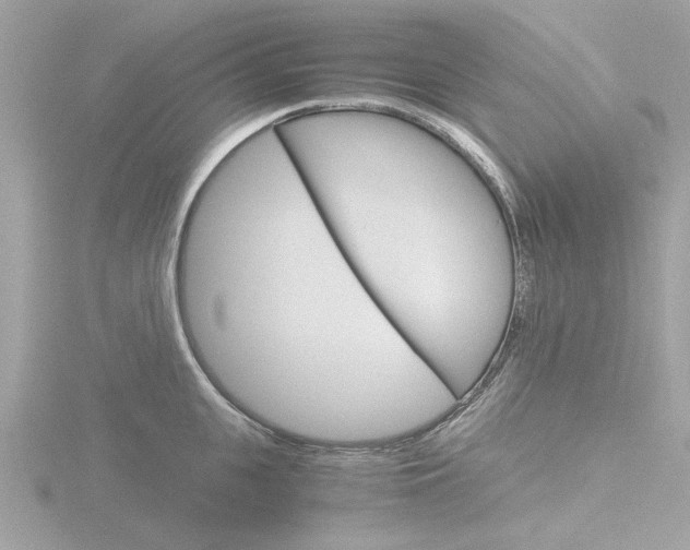 X0000116860951200912220940