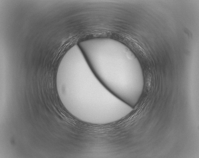 X0000116860964200912220939