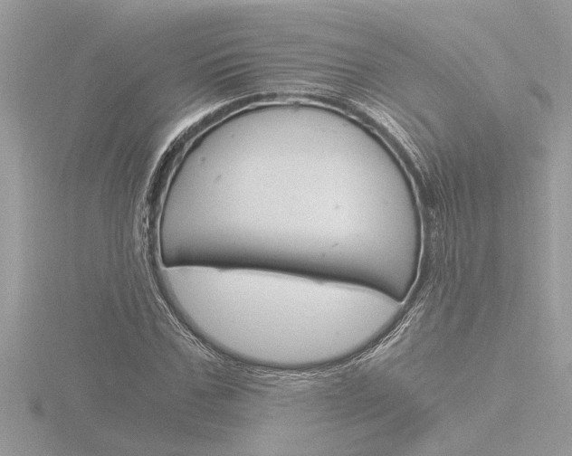X0000116860971200912220939