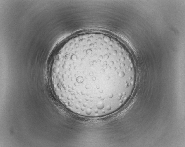 X0000116860974200912220939