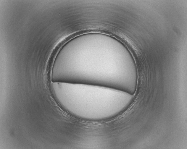 X0000116860975200912220939