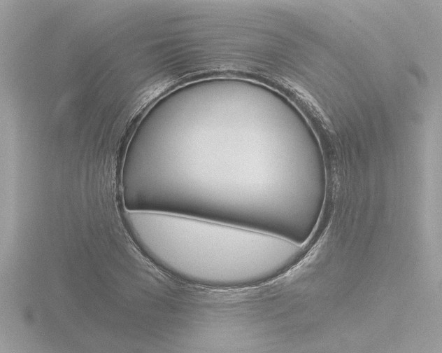 X0000116860977200912220939