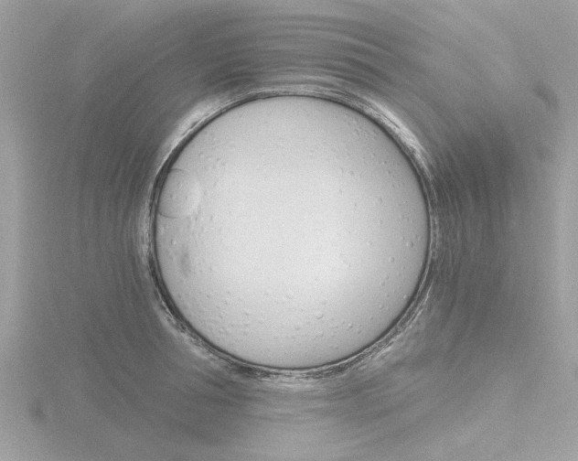 X0000116860994200912220939