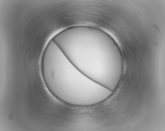 X0000116861003200912220939