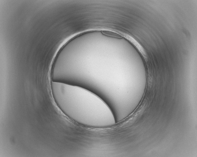 X0000116861004200912220939