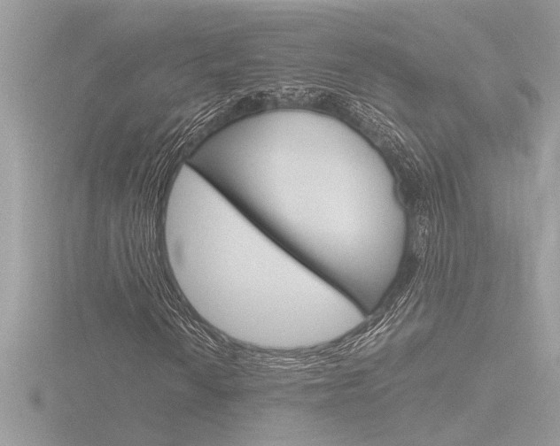 X0000116861010200912220938